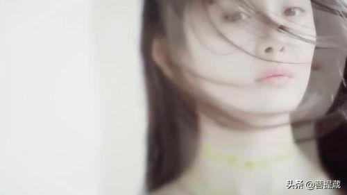 老娱乐圈吃瓜群众,揭秘老吃瓜群众的独家视角