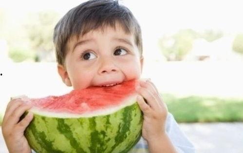 娱乐吃瓜君耍猴版,揭秘耍猴版背后的趣味与真相