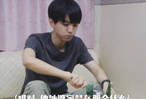 娱乐圈吃瓜王俊凯小说