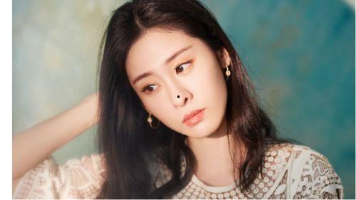 娱乐吃瓜大花和艺人,大花与艺人之间的精彩碰撞